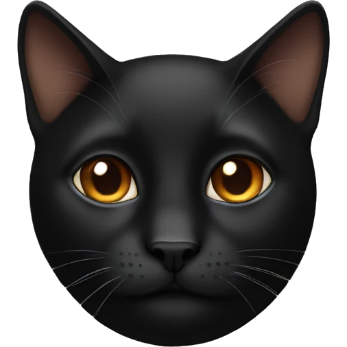 Black cat with brown eyes emoji