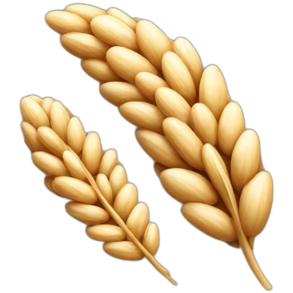 An oat grain emoji