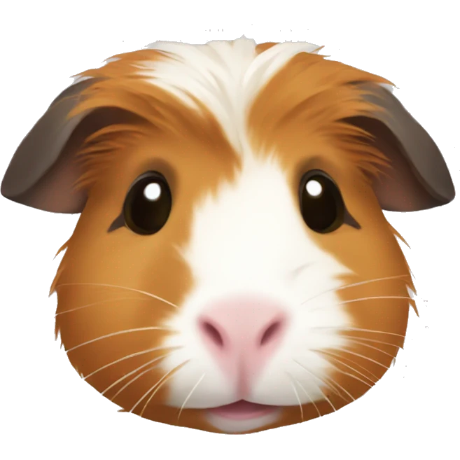 Guinea pig  emoji