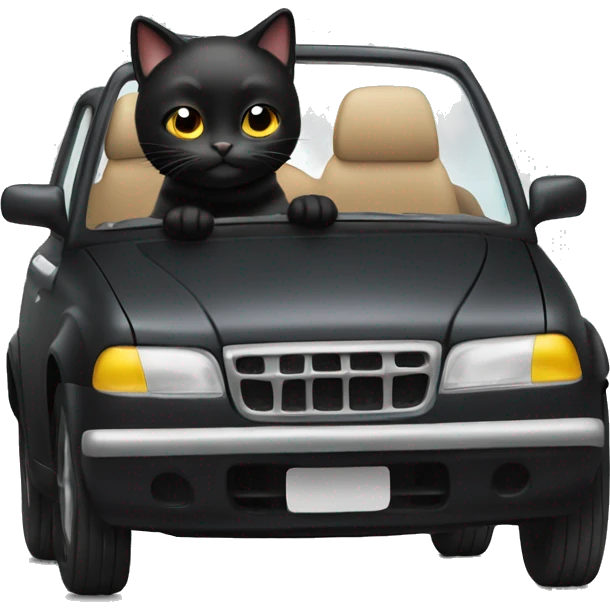 Black cat driving a cute car emoji