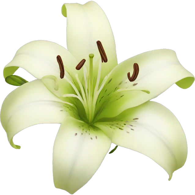 lily emoji