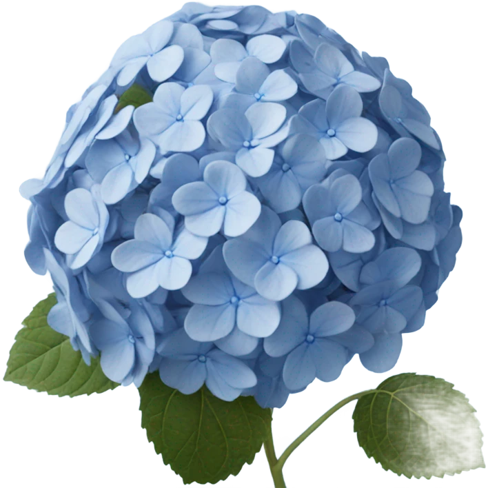 blue hydrangea  emoji
