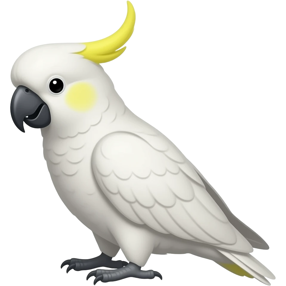 Una cacatúa Ninfa con sus mejillas amarillas y su cresta de color gris emoji
