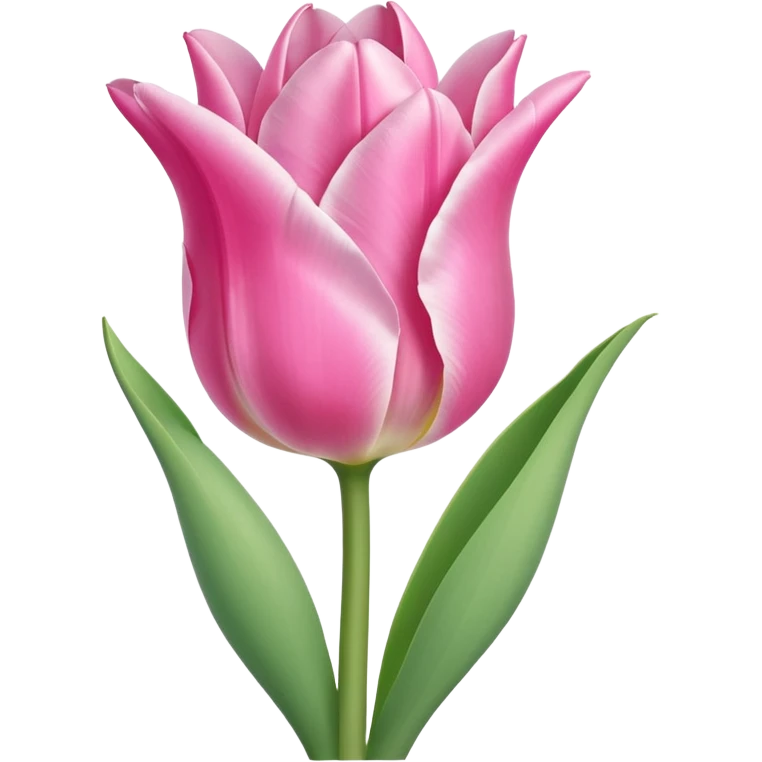 Fleur 🌷 tulipe emoji