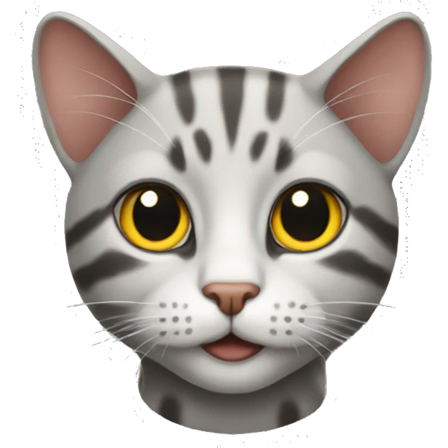 a cat emoji