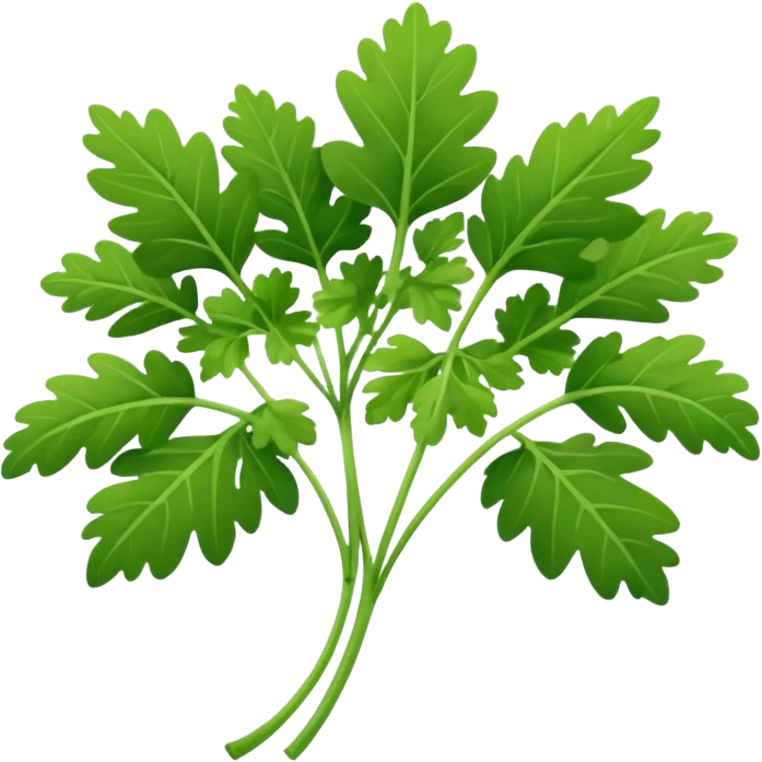 coriander emoji