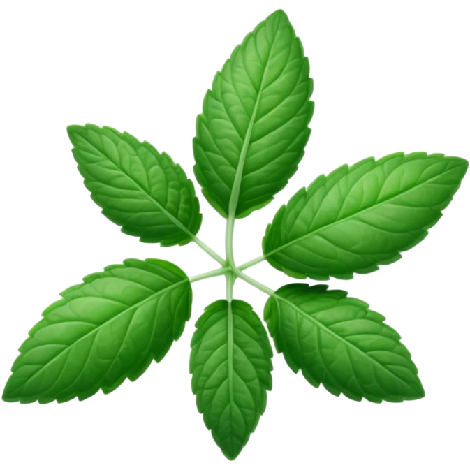 Peppermint (Mentha \(\times \) piperita)  emoji