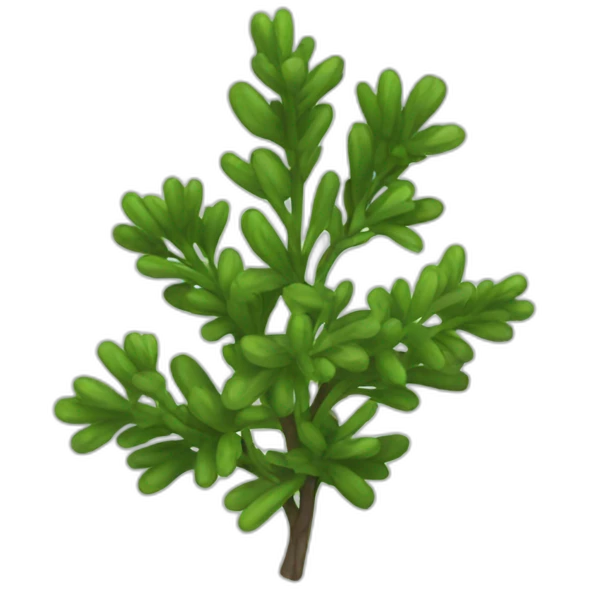 thyme emoji