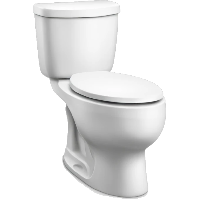 Ski idk toilet  emoji