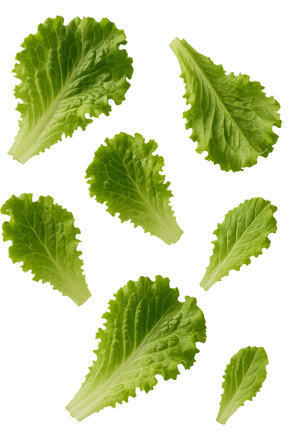 foglie di insalata realistiche fluttuano in aria, IPERREALISTICO 4K emoji