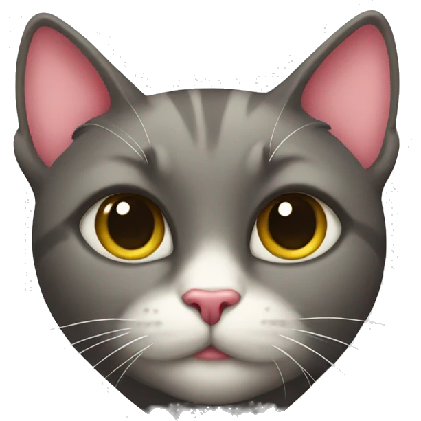Heart cat  emoji