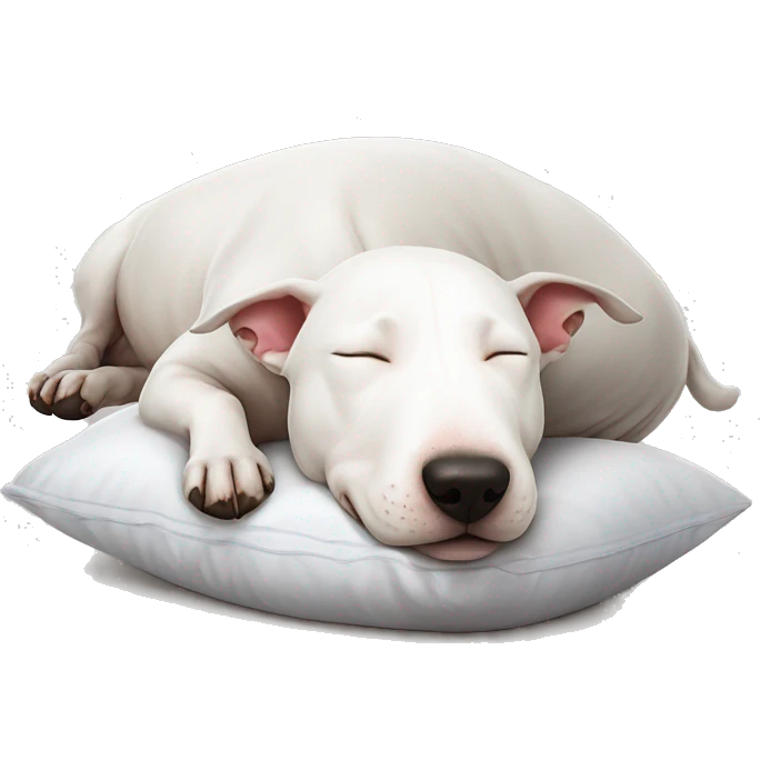 Bull terrier lying down on pillow sleeping cute  emoji