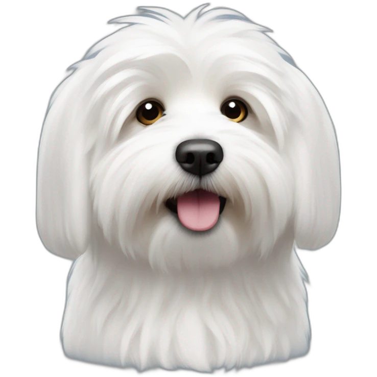 Coton de tulear emoji