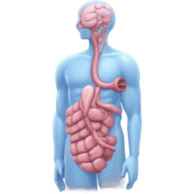 Pancreas emoji