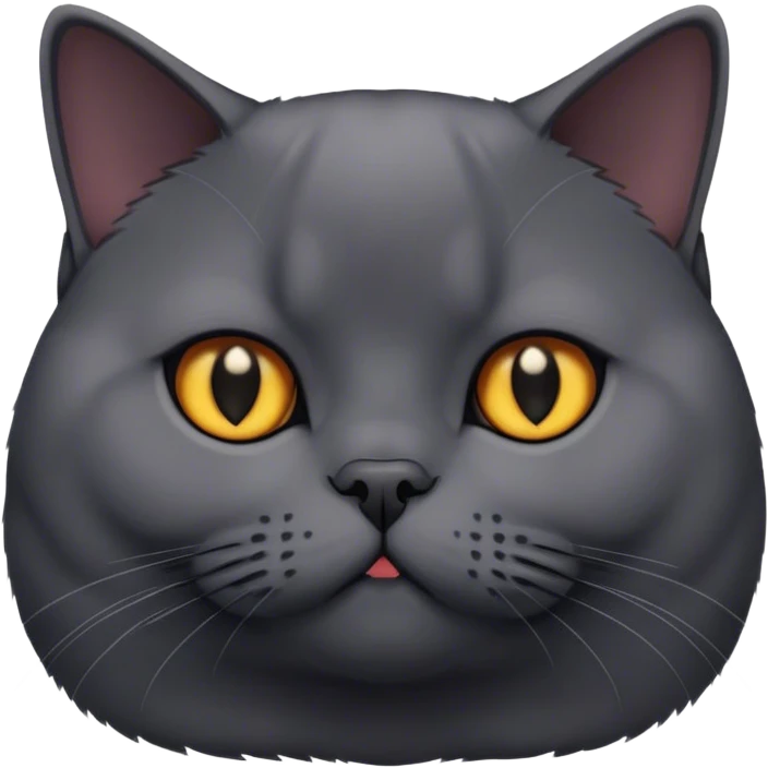 black British shorthair cat emoji