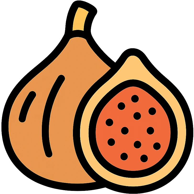 dried fig, modern icon with black outlines emoji