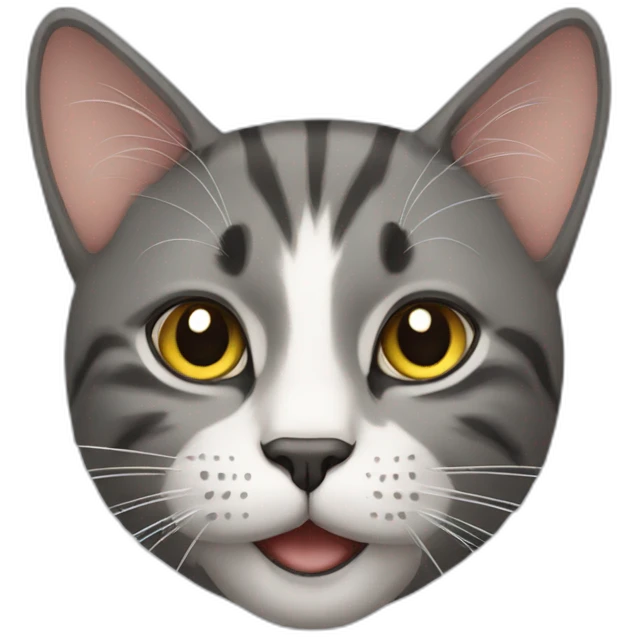 Cat emoji