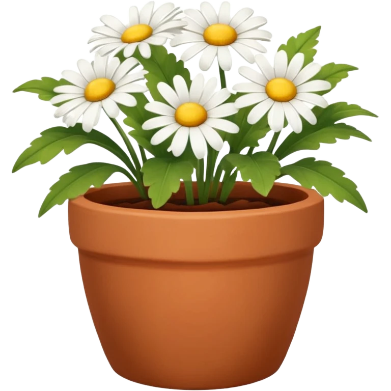 Small pot with blooming daisies emoji