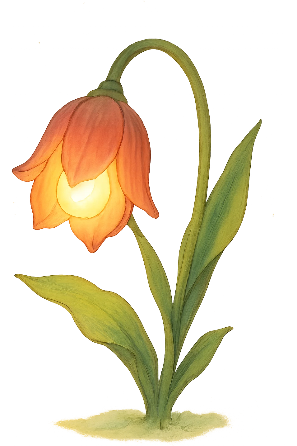 a lamp made out of a tulip flower, the bulb in the flower, drooping over, natural colors, soft, fairy-like atmosphere, no background emoji