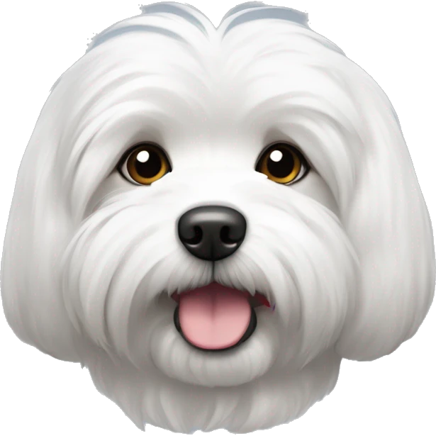 Coton de tulear avec oreille brune and grises emoji