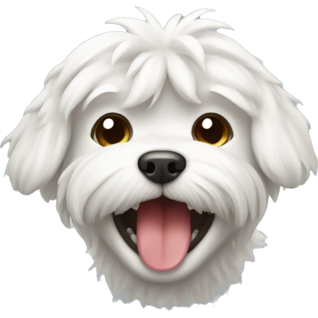Maltese yawn emoji