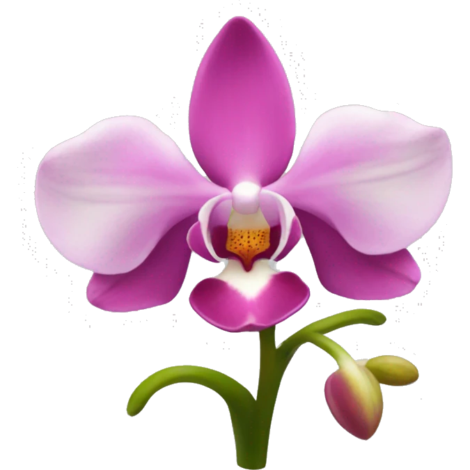 Orquídea pink emoji