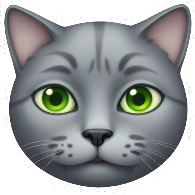 obese grey cat with green eyes  emoji