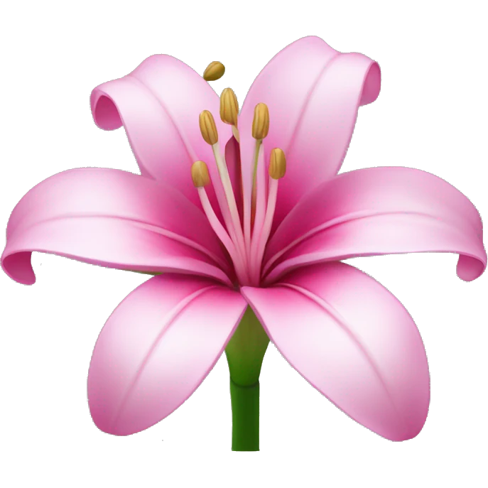 Pink lilie flower  emoji