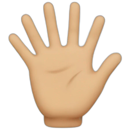  stop with your hand emoji