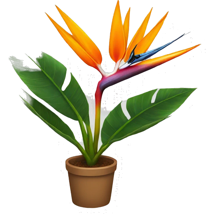 Bird of paradise plant emoji