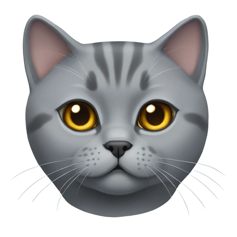 Gray British shorthair cat  emoji