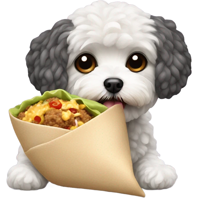 Maltipoo eating a burrito  emoji