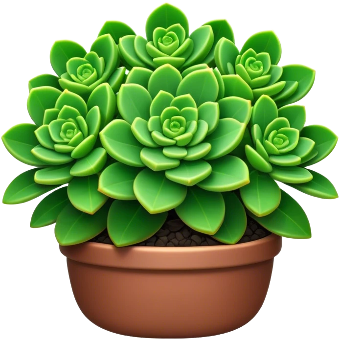 Cinematic Realistic Crassula Emoji, Compact and vibrant, with small, fleshy leaves arranged in thick, rounded clusters. The deep green hue of the leaves radiates calm, while their structured growth speaks of endurance. Soft glowing outline, capturing the essence of perseverance and tranquility in a crassula plant! emoji