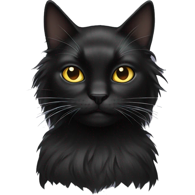 black cat long haired with muzzle half white emoji