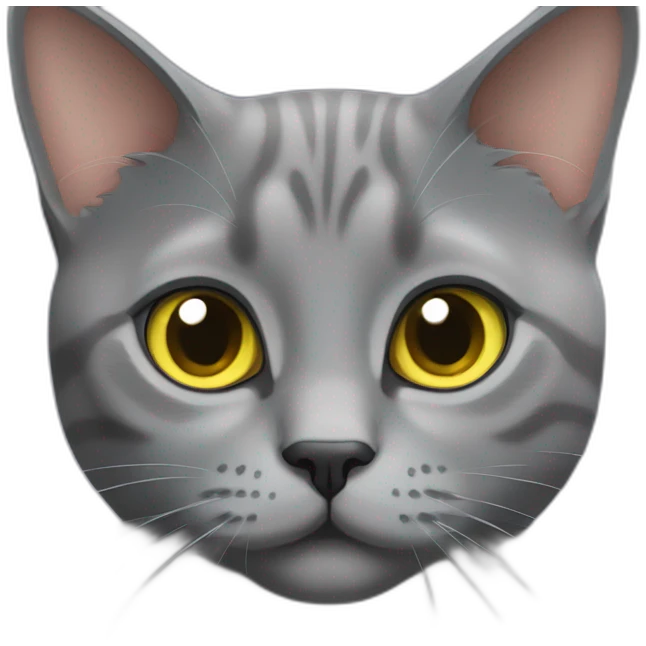 Chartreux cat with European cat emoji