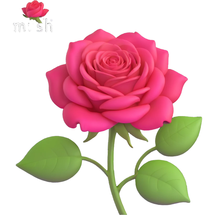 beautiful rose with Hindi text Husn meaning beauty emoji
