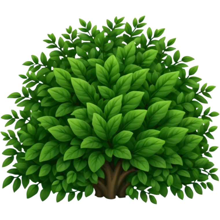 A dense bush with dark leaves and a curved organic shape. emoji
