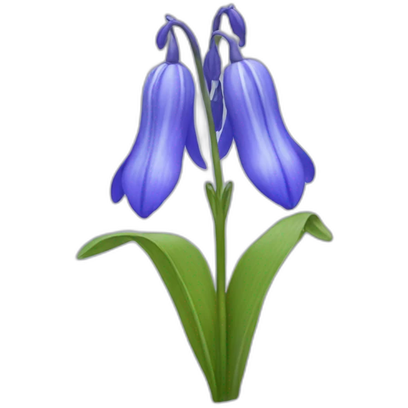 Bluebell flower emoji