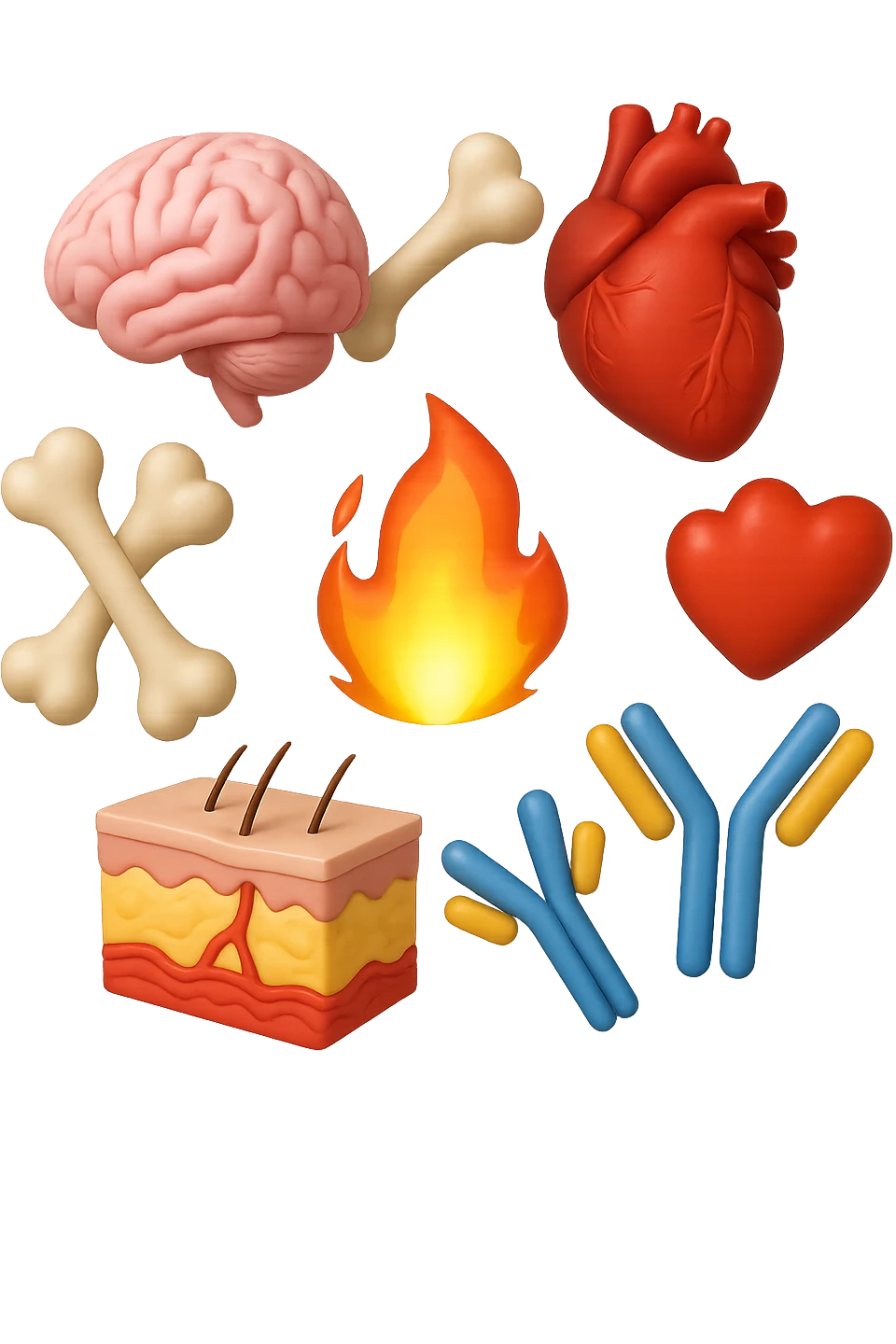 EMOJI STILE IPHONE 3D DI cervello, ossa, cuore, porzione di epidermide e cellule di anticorpi che girano in tondo, al centro di questi elementi c'è una fiamma 3d  FALLO MOLTO REALISTICO IN 3D emoji