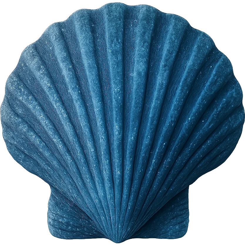 blue seashell, remove background emoji