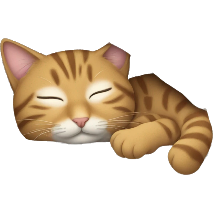 tabby cat sleeping emoji