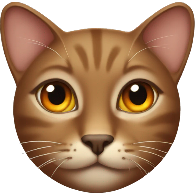 brown cat orange eyes emoji