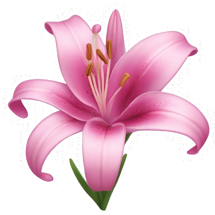 pink lilly flowers emoji