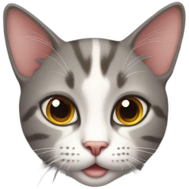HOUSE-cat emoji