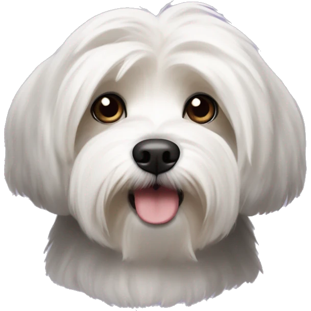 havanese dog with white eyebrows, black head, and a white snout emoji