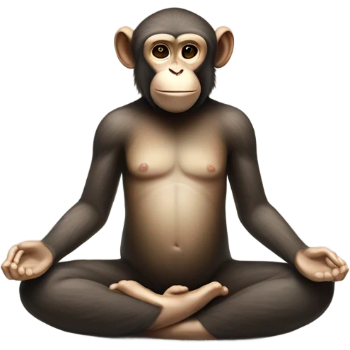 A monkey sits in a lotus position and does yoga emoji