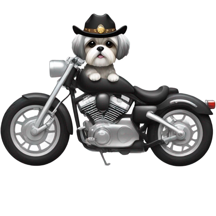 Gray white Shih tzu wearing bock cowboy hat on black motorcycle emoji