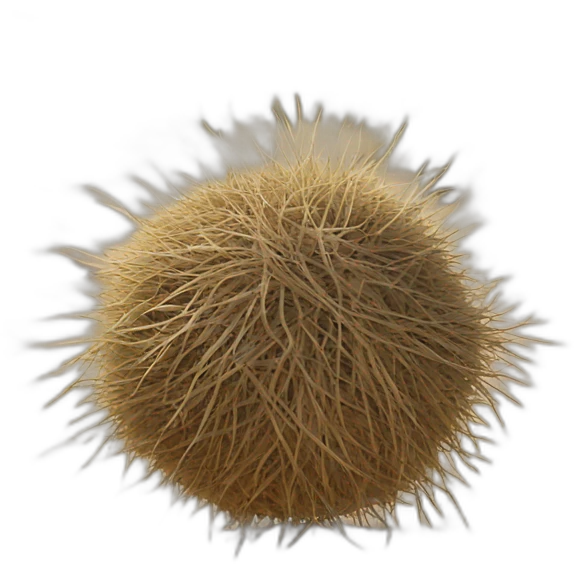tumbleweed emoji