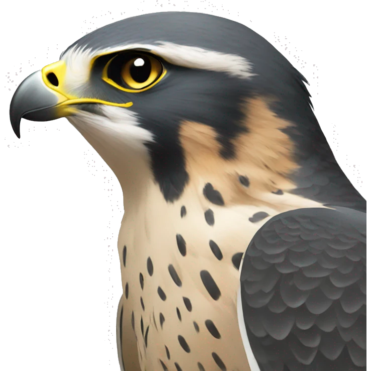 peregrine falcon with ht emoji