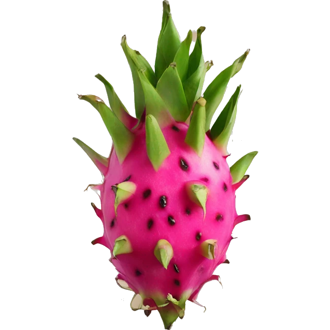 Dragon fruit  emoji
